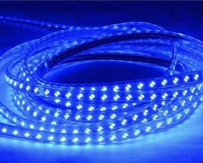 Clive 360 LEDs 4.98 m Blue Steady Strip Rice Lights(Pack of 1)