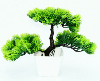 zonezer Artificial bonsai plant for home decoration pair set of 2 small table plant for office ,balcony ,dining table in green colour with white pot.pack of one plant smale mini tree for home decoration in plastic material. Bonsai Wild Artificial Plant  with Pot(10 cm, Green)