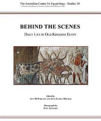 Behind the Scenes(English, Paperback, unknown)