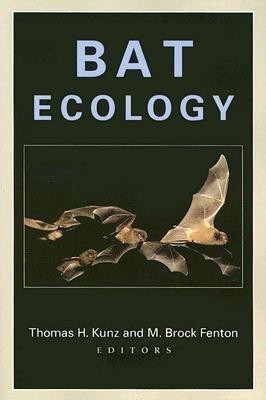 Bat Ecology(English, Paperback, unknown)