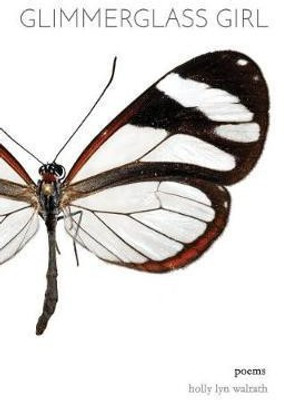 Glimmerglass Girl(English, Paperback, Walrath Holly Lyn)