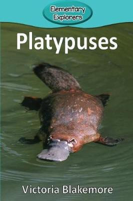 Platypuses(English, Paperback, Blakemore Victoria)