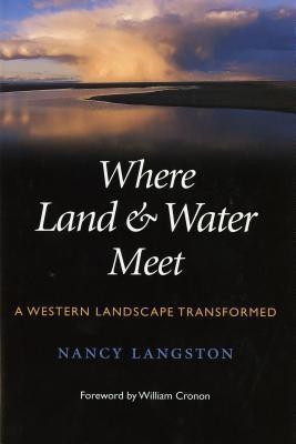 Where Land and Water Meet(English, Paperback, Langston Nancy)