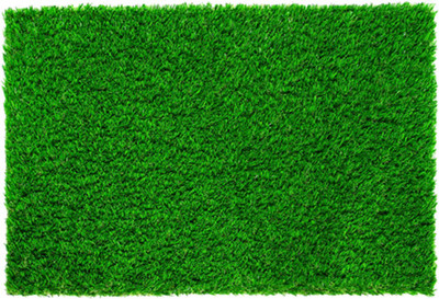 Coirgarden Artificial Grass Floor Mat(Green, Free)