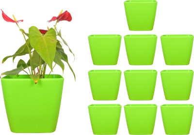 Spylark Garden Essential Plastic Indoor Planter/Plant Container/Flower Pot/Plants Nursery Seedlings Pot (Green - 9Inch - Daisy 10 Pot) Plant Container Set(Pack of 10, Plastic)