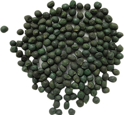 Urancia Ladyfinger Seeds Seed(50 per packet)