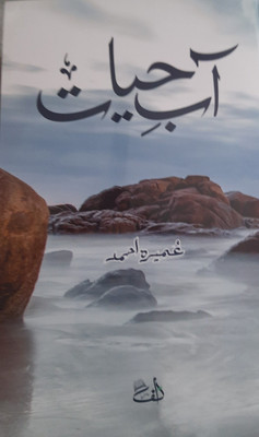 Aab-E-Hayat Urdu(Fine Paperback, Urdu, Umera Ahmad)