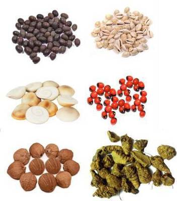 Somadev Kaudi, Kamal Gatta, Gunja, Gomti Chakra, Laghu Nariyal, Haldi Gaath Stoneware Yantra