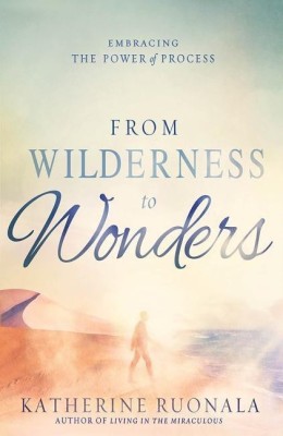 From Wilderness to Wonders(English, Paperback, Ruonala Katherine)