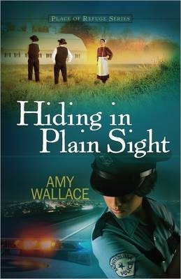 Hiding in Plain Sight(English, Paperback, Wallace Amy)