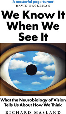 We Know It When We See It : What the Neurobiology of Vision Tells Us About How We Think(Paperback, Richard Masland)