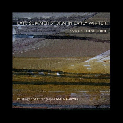 Late Summer Storm In Early Winter(English, Paperback, Weltner Peter)