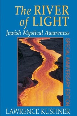 The River of Light(English, Hardcover, Kushner Lawrence Rabbi)