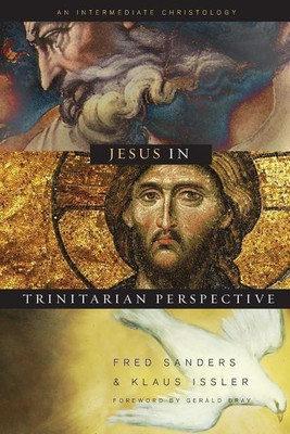 Jesus in Trinitarian Perspective(English, Hardcover, unknown)