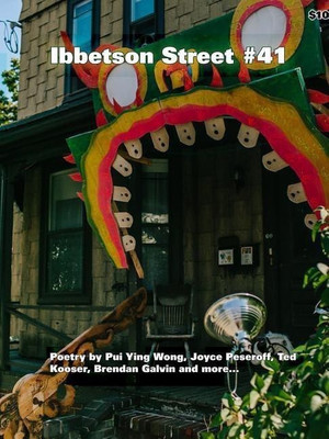 Ibbetson Street #41(English, Paperback, Holder Doug)