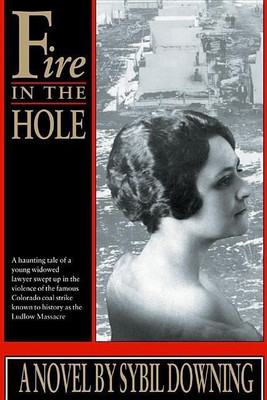 Fire in the Hole(English, Paperback, Downing Sybil)