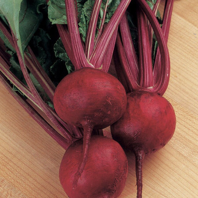 Sjeme Red Ball beetroot seed Seed(10 per packet)