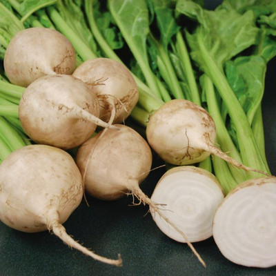 Sjeme Avalanche beetroot seed Seed(10 per packet)