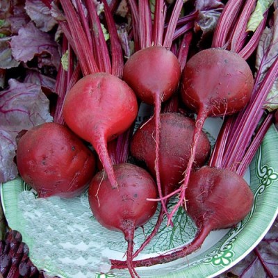 Earth Angels beetroot Seed(25 per packet)