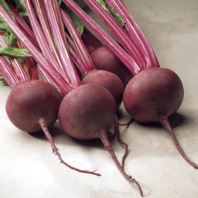 Sjeme Red Ace beetroot seed Seed(70 per packet)