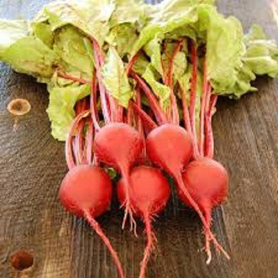 Sjeme Early Wonder beetroot seed Seed(100 per packet)