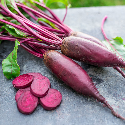 Sjeme Forono beetroot seed Seed(45 per packet)