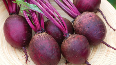 Sjeme beetroot Seed(10 per packet)