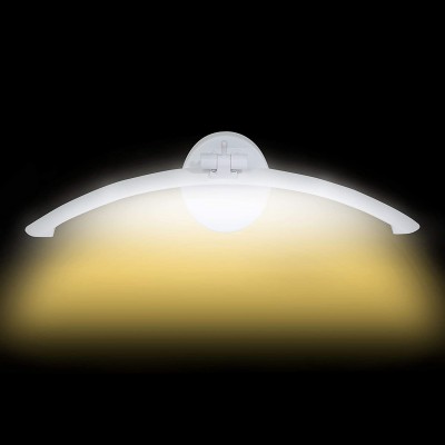 Gesto Picture Light Wall Lamp With Bulb