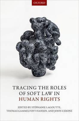 Tracing the Roles of Soft Law in Human Rights(English, Hardcover, unknown)