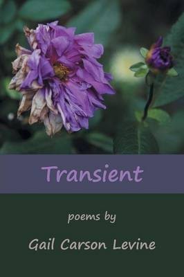 Transient(English, Paperback, Levine Gail Carson)