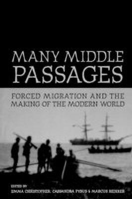 Many Middle Passages(English, Paperback, unknown)