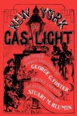 New York by Gas-Light and Other Urban Sketches(English, Paperback, Foster George G.)