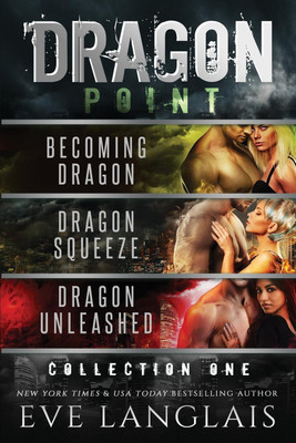 Dragon Point(English, Paperback, Langlais Eve)