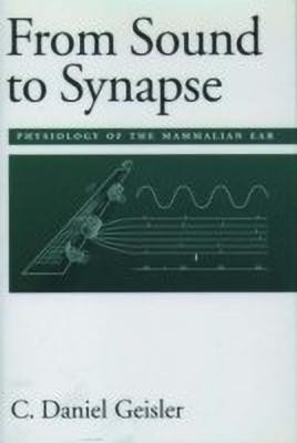 From Sound to Synapse(English, Hardcover, Geisler C. Daniel)