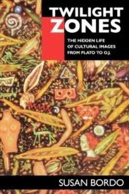 Twilight Zones(English, Paperback, Bordo Susan)