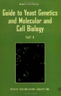 Guide to Yeast Genetics and Molecular and Cell Biology, Part B: Volume 350(English, Paperback, unknown)