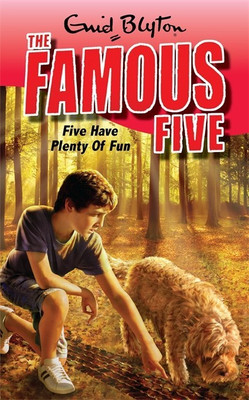 Famous Five: Five Have Plenty Of Fun(English, Paperback, Blyton Enid)