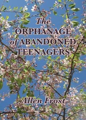 The Orphanage of Abandoned Teenagers(English, Paperback, Frost Allen)