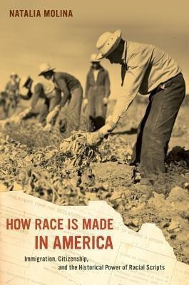 How Race Is Made in America(English, Paperback, Molina Natalia)