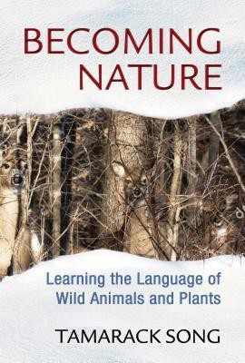 Becoming Nature(English, Paperback, Song Tamarack)