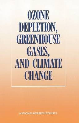 Ozone Depletion, Greenhouse Gases, and Climate Change(English, Paperback, National Research Council)