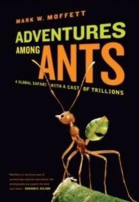 Adventures among Ants(English, Paperback, Moffett Mark W.)