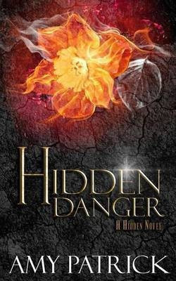Hidden Danger, Book 5 of the Hidden Saga(English, Paperback, Patrick Amy)