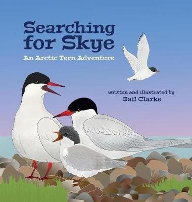 Searching for Skye(English, Hardcover, Clarke Gail)