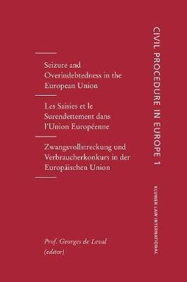 Seizure and Overindebtedness in the European Union(English, Hardcover, De Leval Georges)