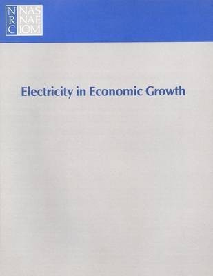 Electricity in Economic Growth(English, Paperback, National Research Council)