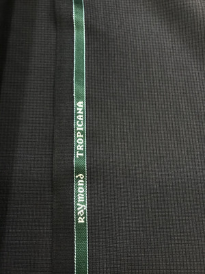 Raymond Polycotton Solid Trouser Fabric