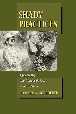 Shady Practices(English, Paperback, Schroeder Richard A.)