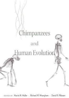 Chimpanzees and Human Evolution(English, Hardcover, unknown)