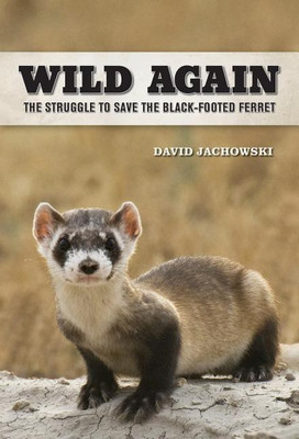 Wild Again(English, Hardcover, Jachowski David S.)